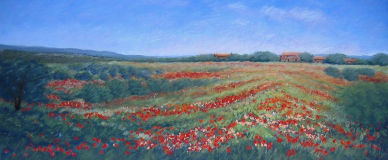 Wildflowers